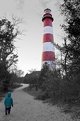 Picture Title - To The Light House
