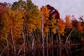 Picture Title - Hyland Lake Fall Bliss