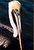 Pelican close up