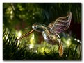 Picture Title - Glass Hummingbird