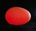 Picture Title - Red Egg
