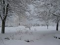 Picture Title - Winter Scene, VT