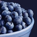 Picture Title - Blueberry Hill