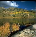 Picture Title - Beaver Pond Colorado