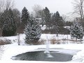 Picture Title - 'the little frozen pond'