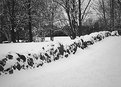Picture Title - 'snowy stone wall'