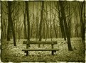 Picture Title - park bench