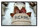 Picture Title - Herbs