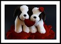 Picture Title - Puppies In Love