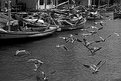 Picture Title - Belize Boatyard