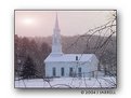 Picture Title - Winter Covering