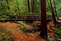 Picture Title - Bridge over Fall Creek