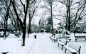 Picture Title - spending a cold and snowy winter day by sitting in a park