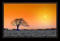 Picture Title - winter sun