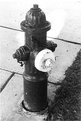 Picture Title - Firehydrant 2