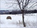 Picture Title - Country Hills and Bales