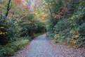 Picture Title - Autumn Trails