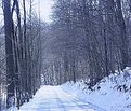 Picture Title - 'icy road to rosetree dam'