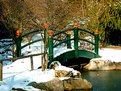 Picture Title - small bridge in the park, Volcji potok, Slovenia