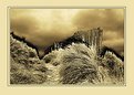 Picture Title - path from the beach