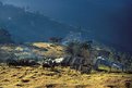 Picture Title - Frosty Morning, Bhutan