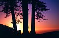 Picture Title - Point Reyes Nat'l Seashore - Sunset