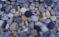 Picture Title - just  rocks