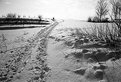 Picture Title - A winter's walk