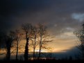 Picture Title - Morning