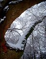 Picture Title - Branch and Snow