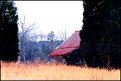 Picture Title - Ol HomePlace amongst the Cedars: Anderson, South Carolina