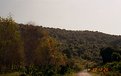 Picture Title - fewer people walk this road