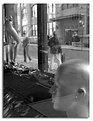 Picture Title - Head/Torso