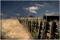 Picture Title - Barn II