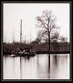 Picture Title - Boat on the river Maas