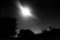 Picture Title - Moura's Moon