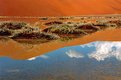 Picture Title - Reflections in the Namib