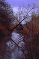 Picture Title - Autumn River 3