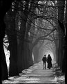 Picture Title - walking through the grayscale