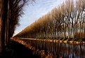 Picture Title - Painting ..