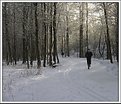 Picture Title - Winter jogging