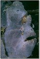 Picture Title - Giant frogfish