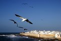 Picture Title - Flying above Essaouira...