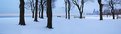 Picture Title - winter morning