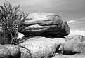 Picture Title - Desert rocks