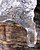 Ice Drip