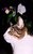 Ajah and Flowers