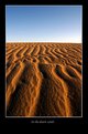 Picture Title - In the desert sands