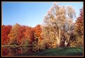 Picture Title - Autumn Colors
