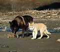 Picture Title - "Friends"